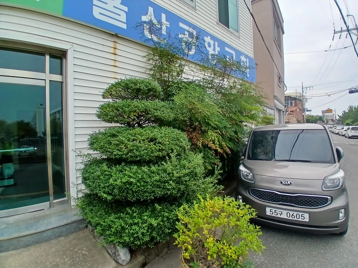 이미지 5