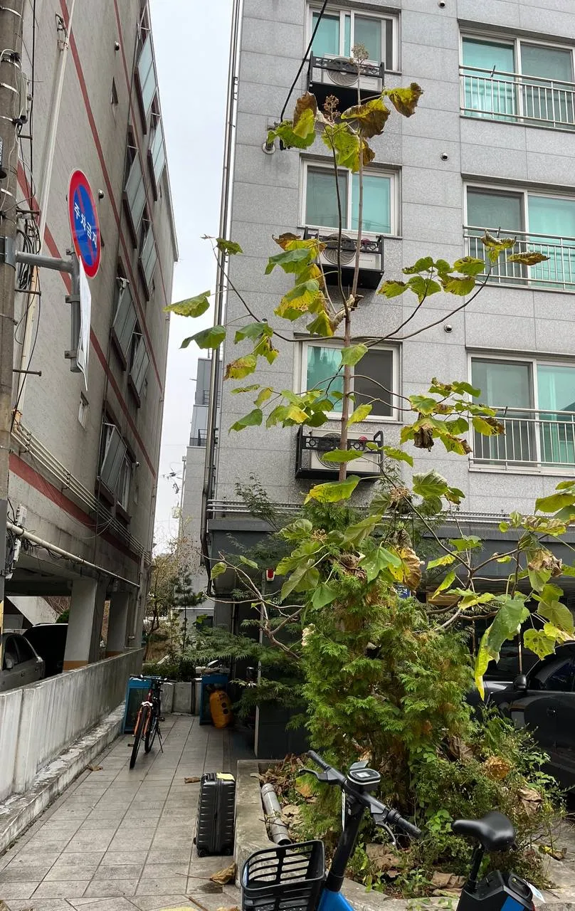 이미지 4