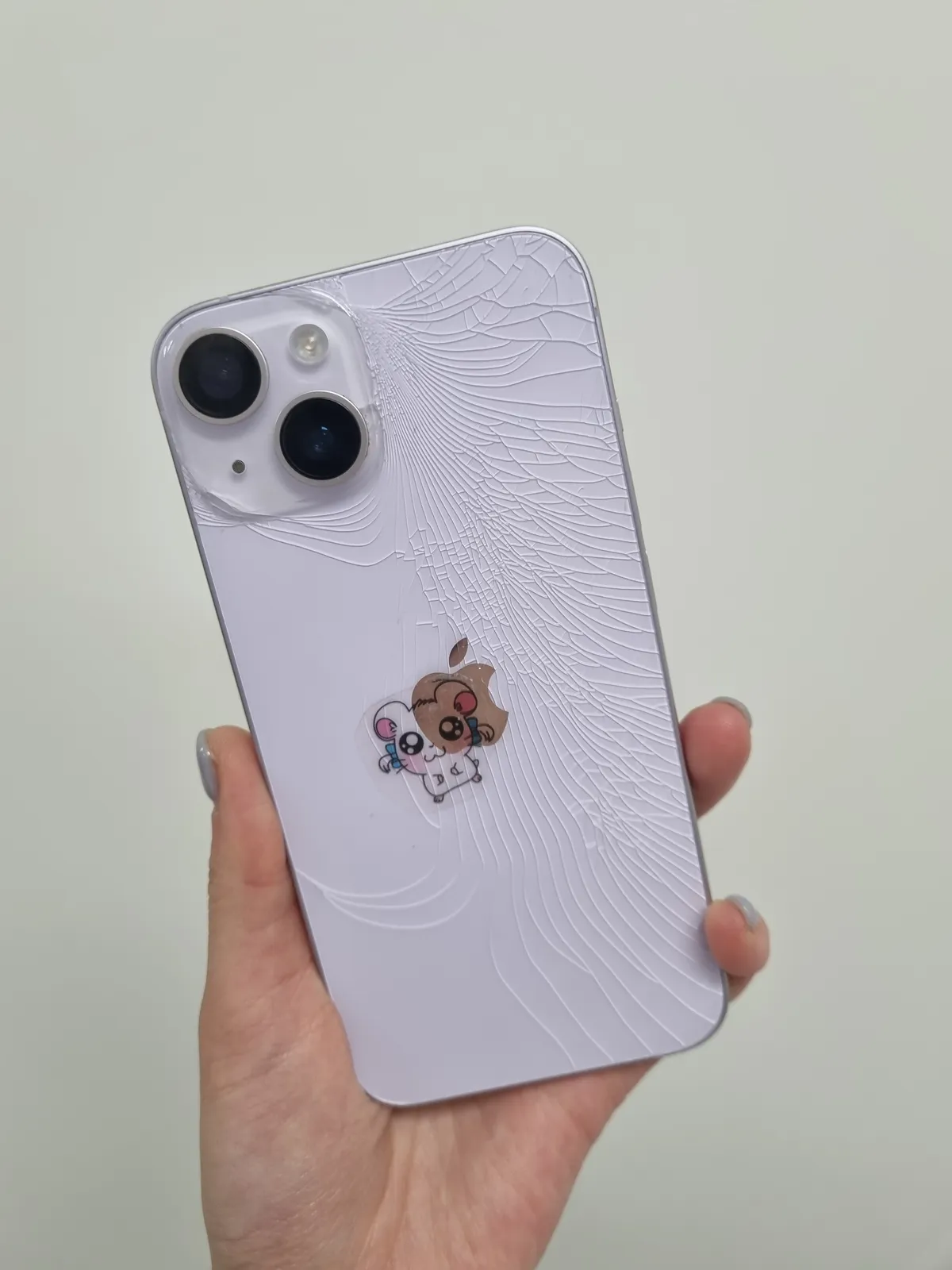 이미지 6