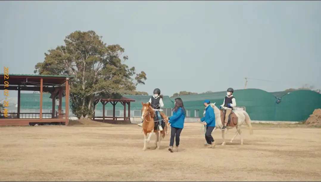 이미지 11