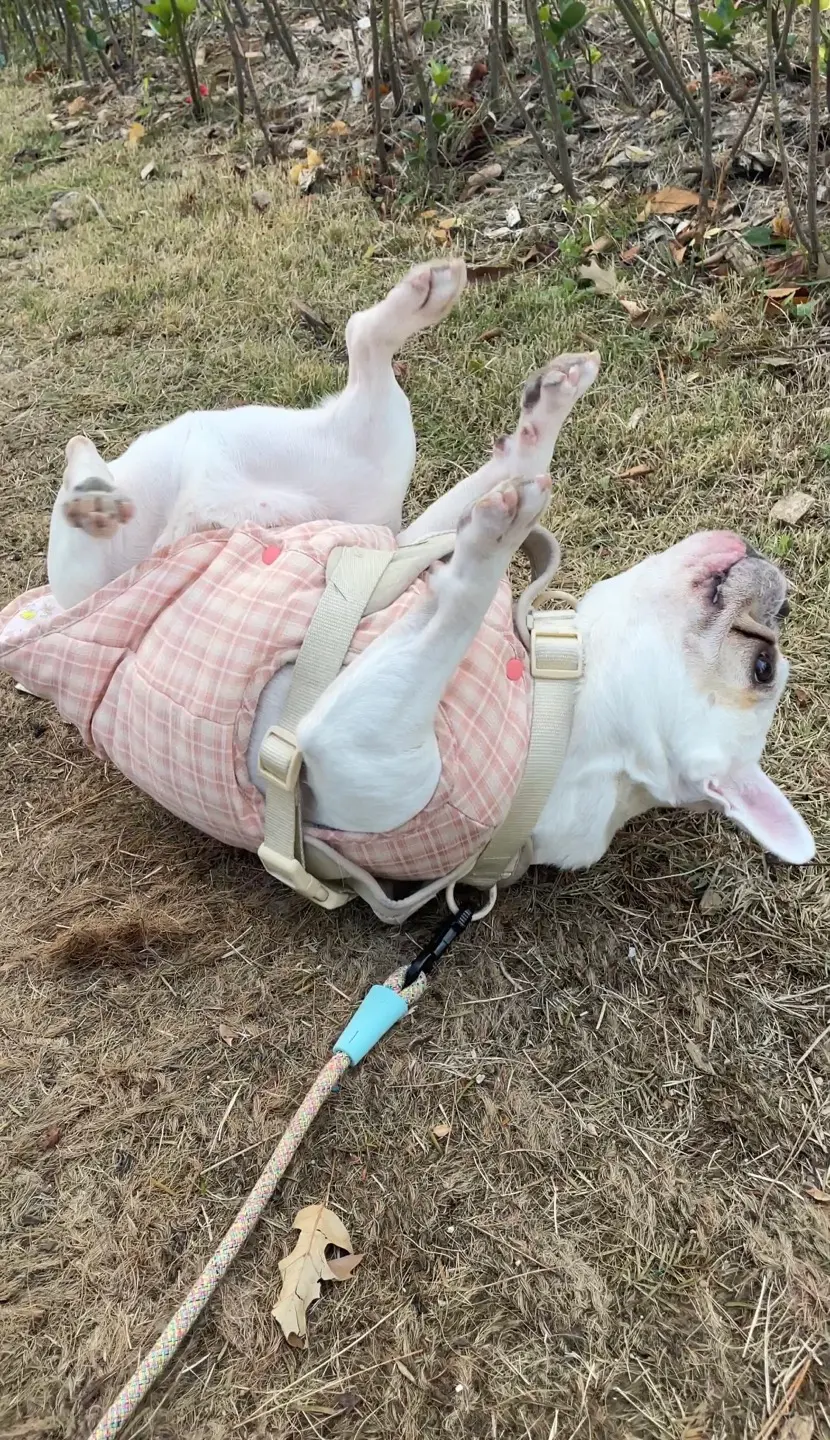 이미지 5