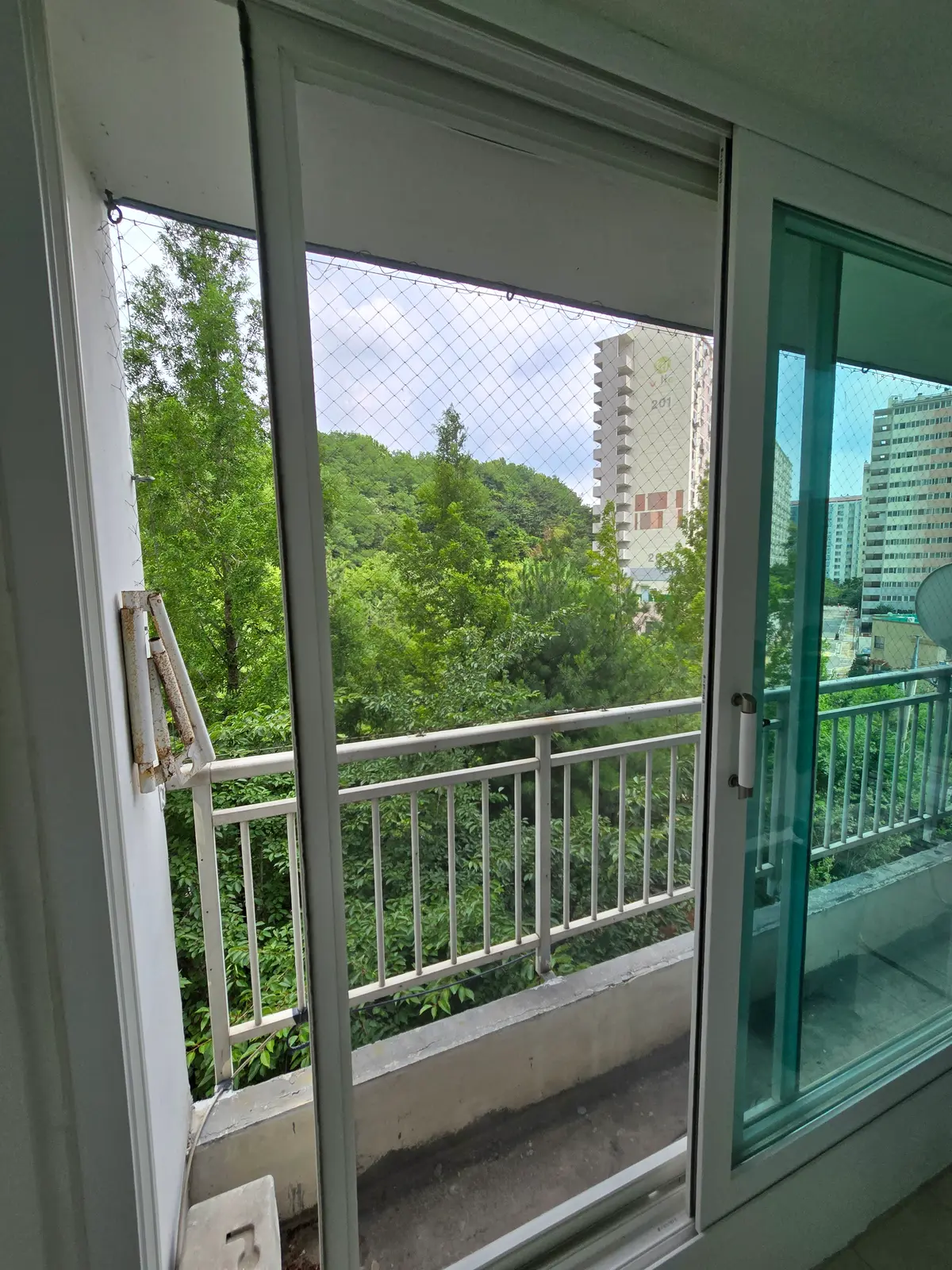 이미지 6
