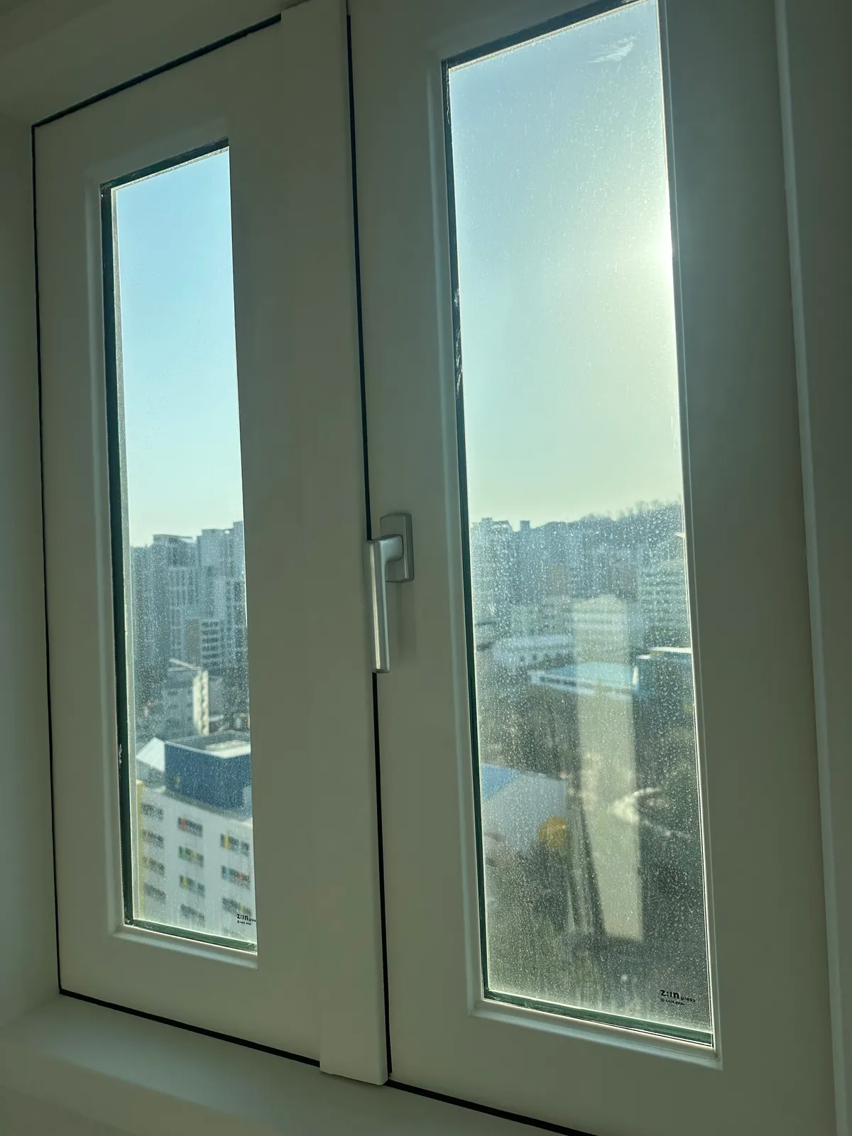 이미지 10