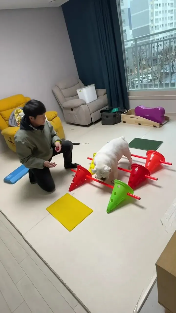 이미지 8