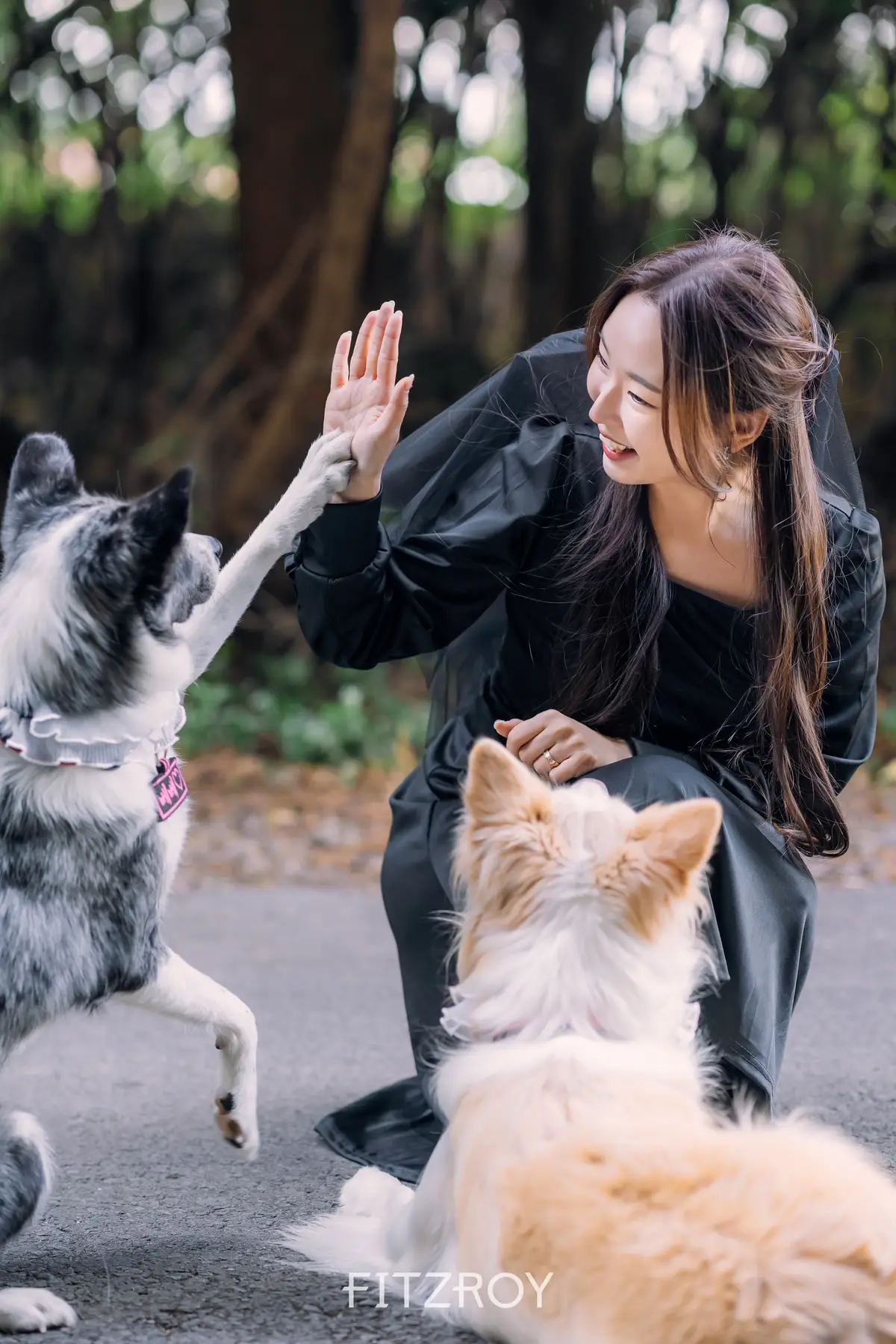 이미지 20