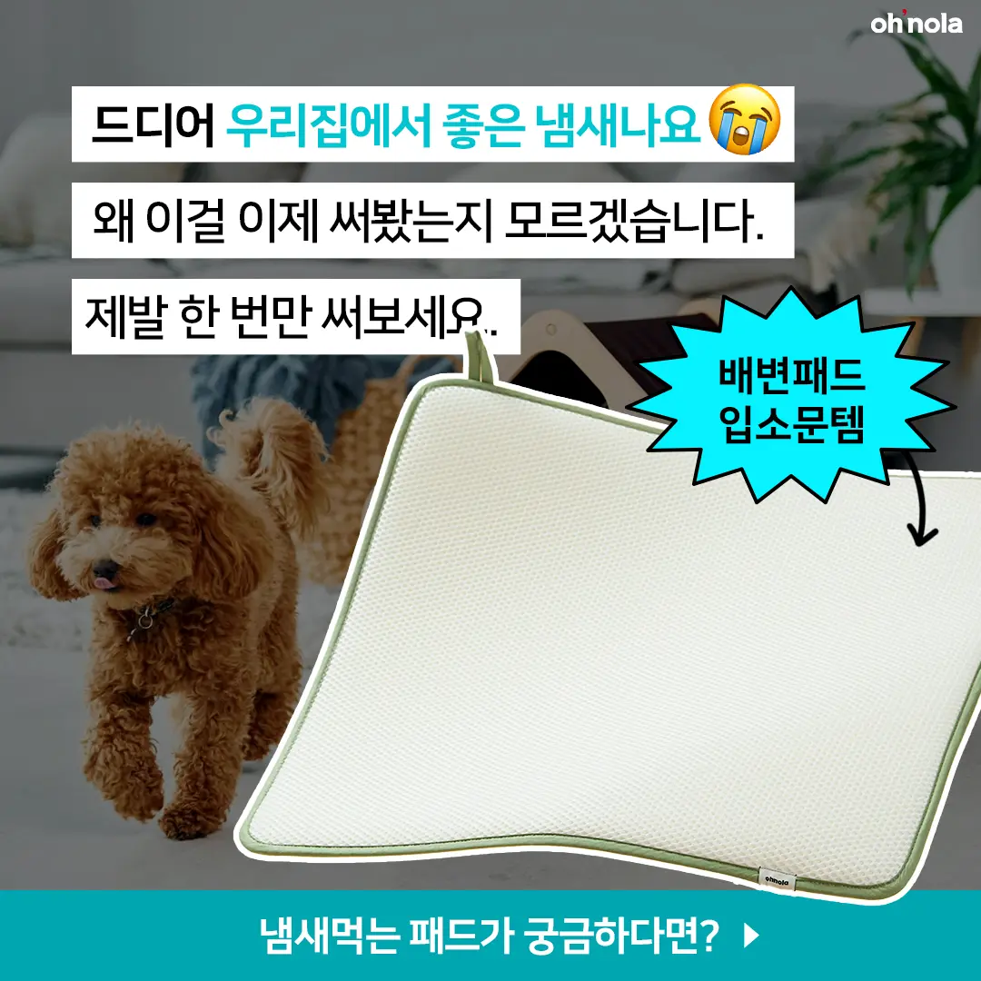 이미지 10