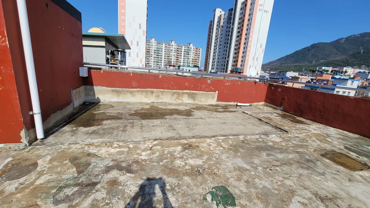 이미지 4