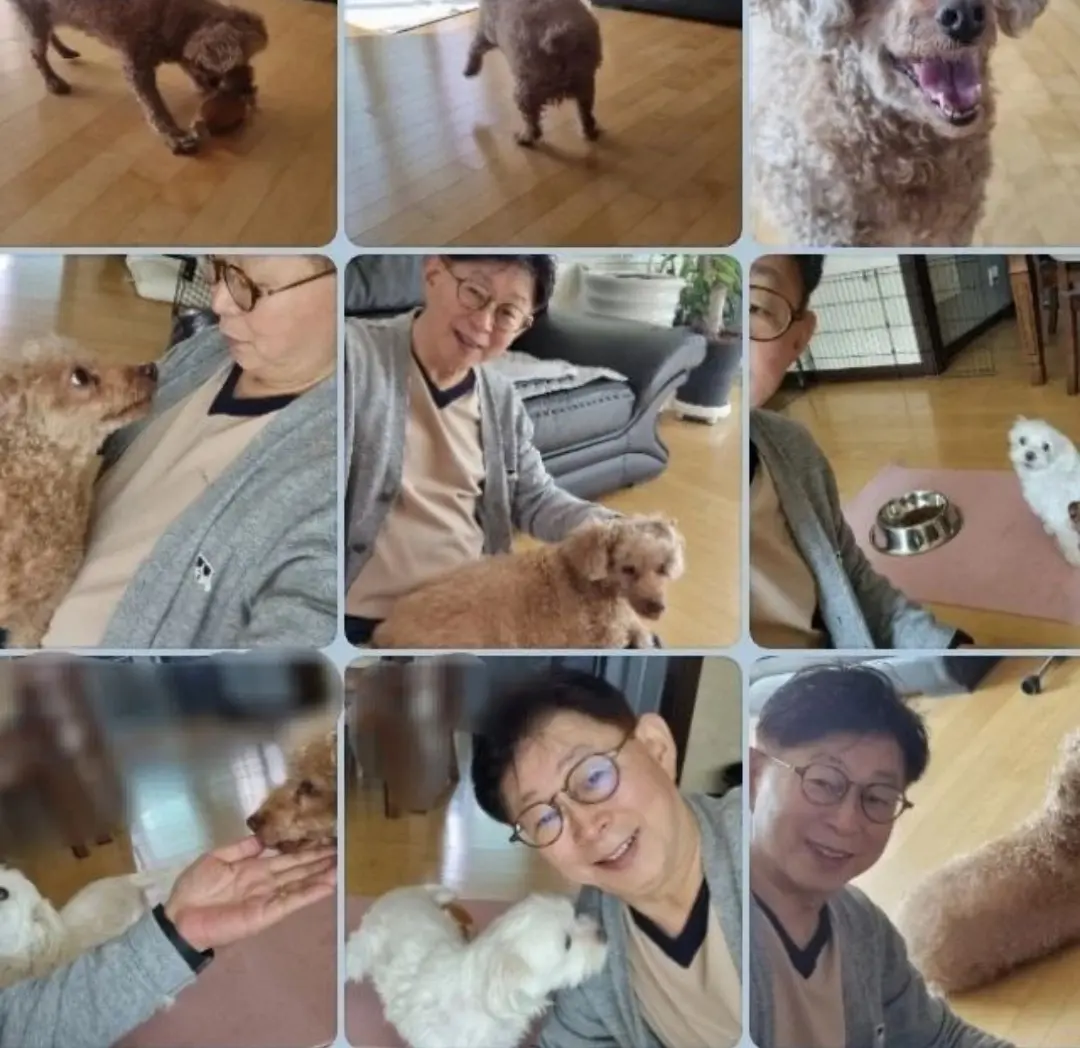 이미지 5