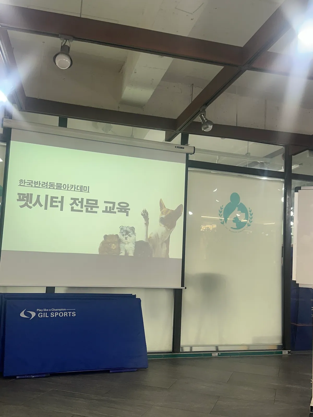 이미지 3