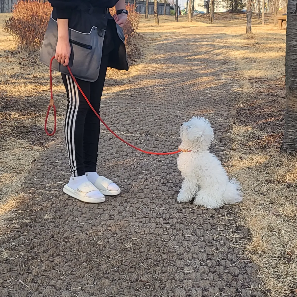 이미지 5