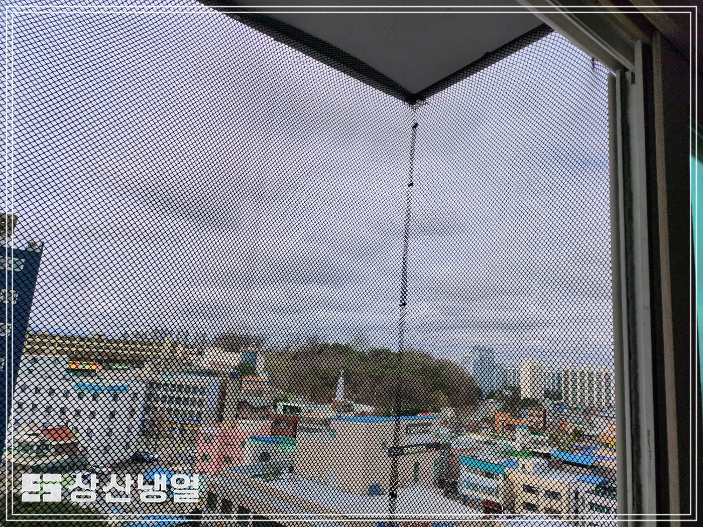 이미지 12