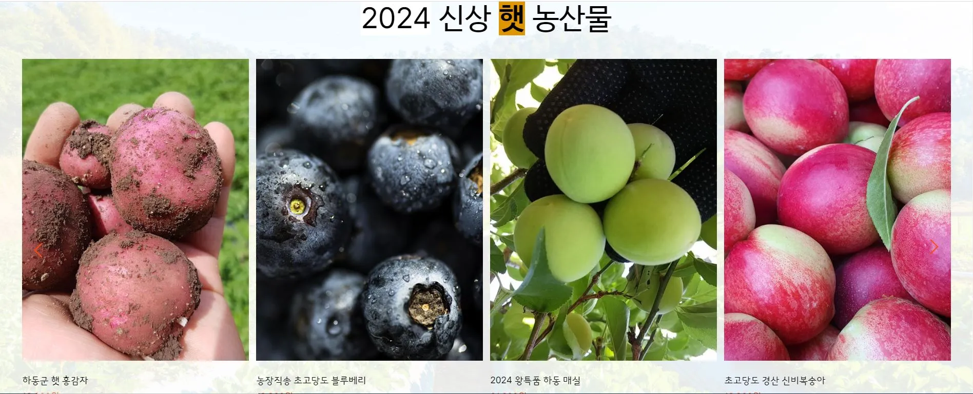 이미지 7