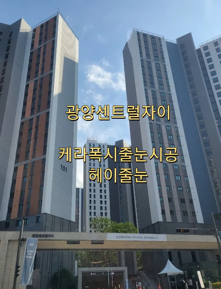 포트폴리오 이미지