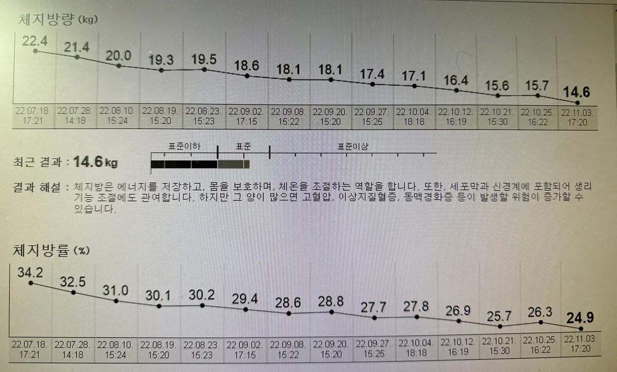 이미지 3