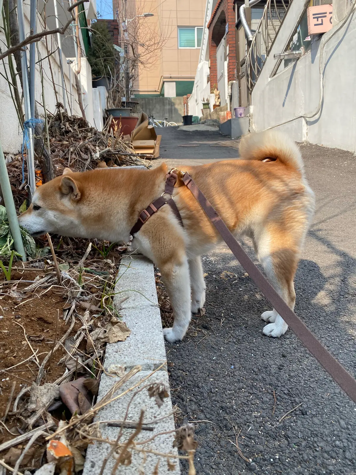 이미지 6