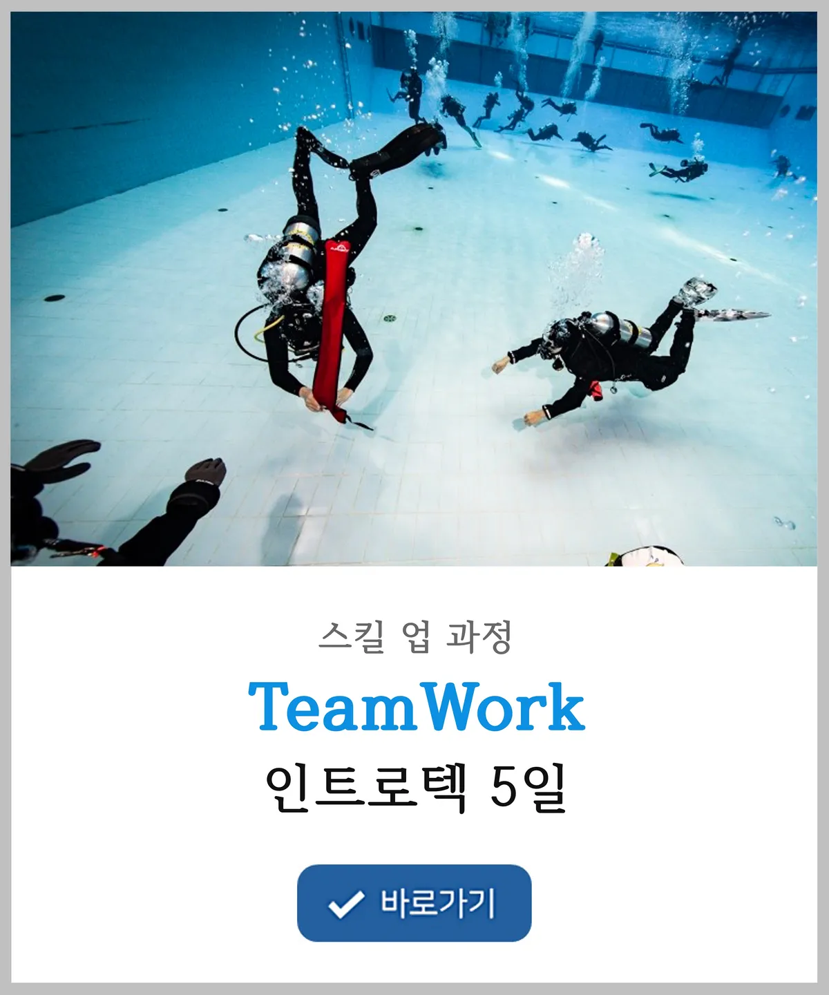 이미지 11