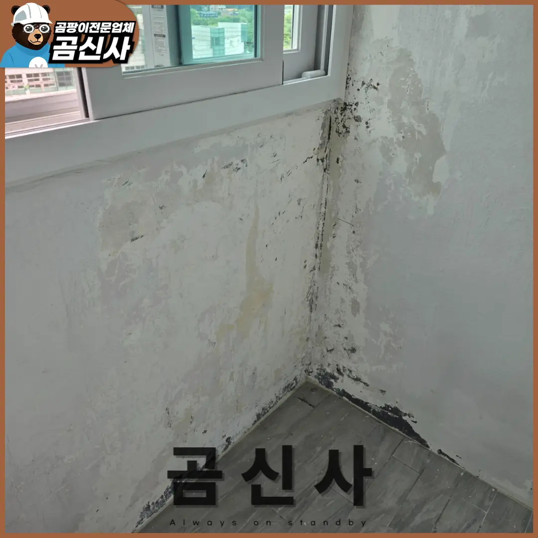 이미지 6