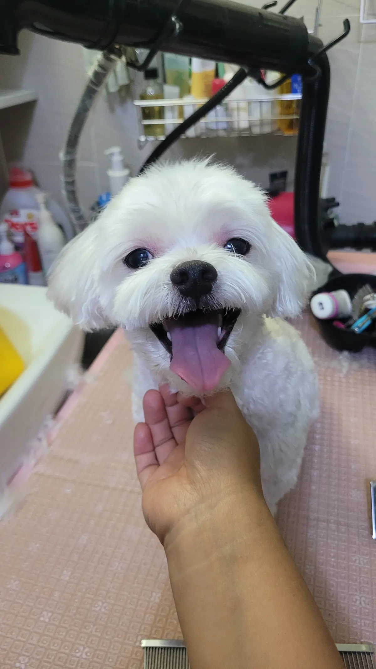 이미지 6