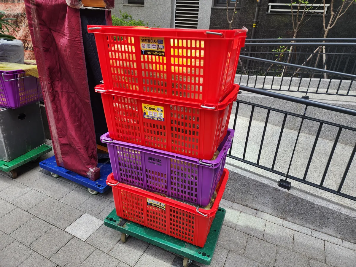 이미지 8