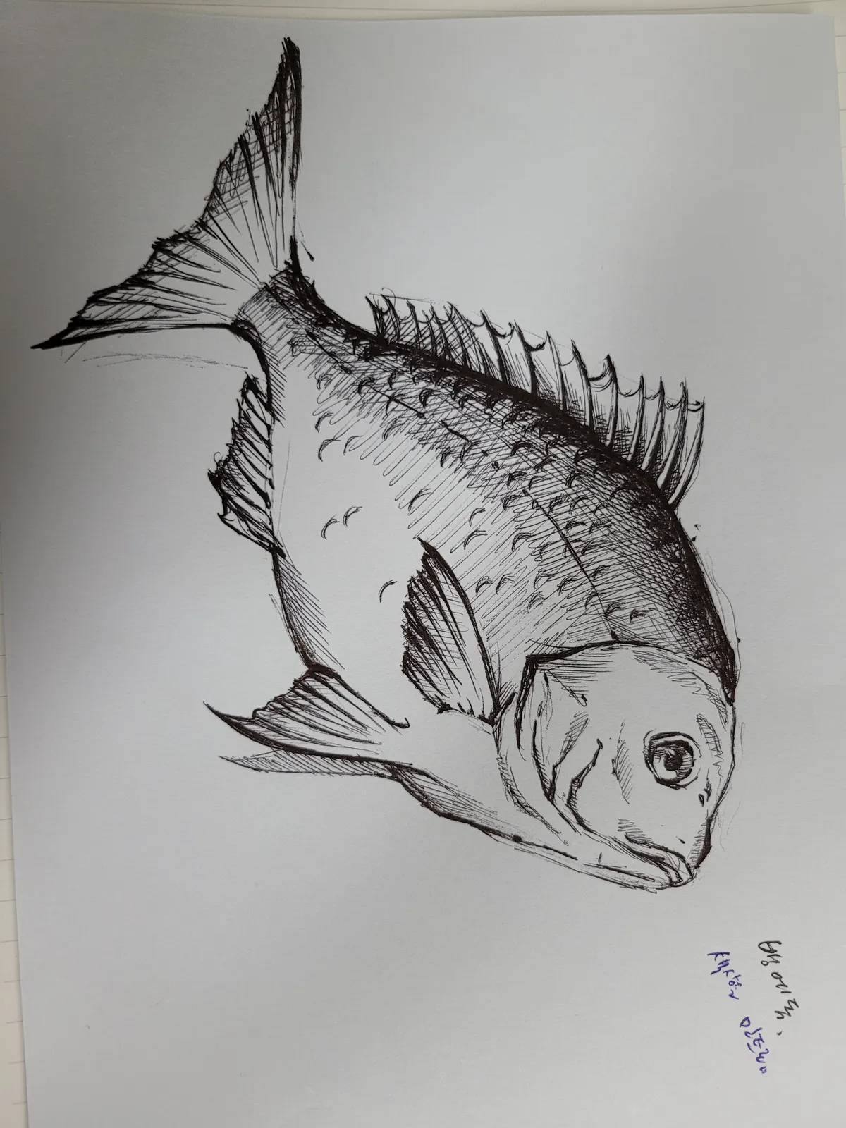 이미지 5