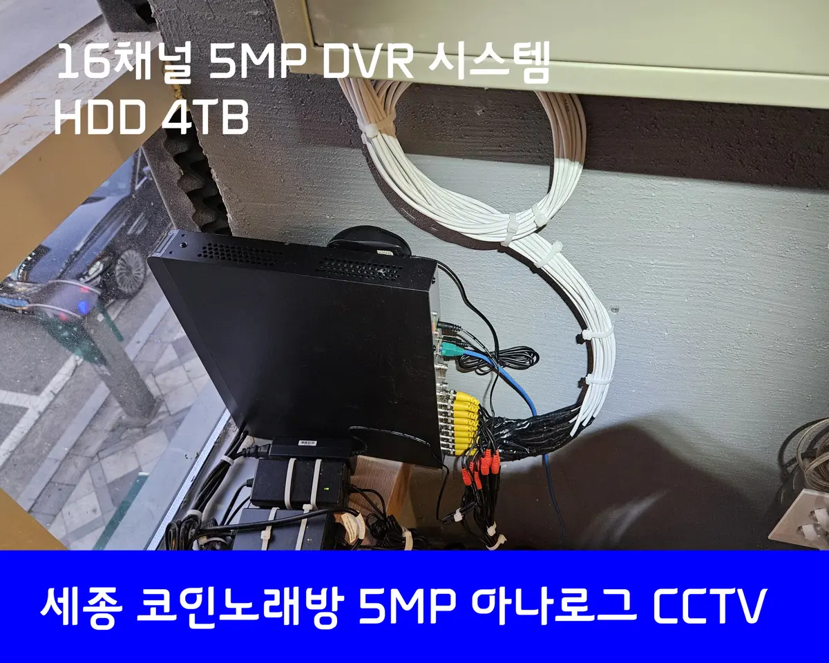 이미지 11