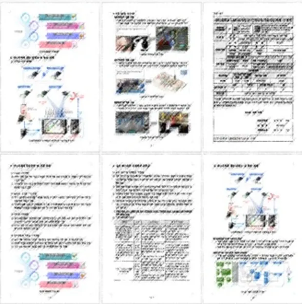 이미지 7