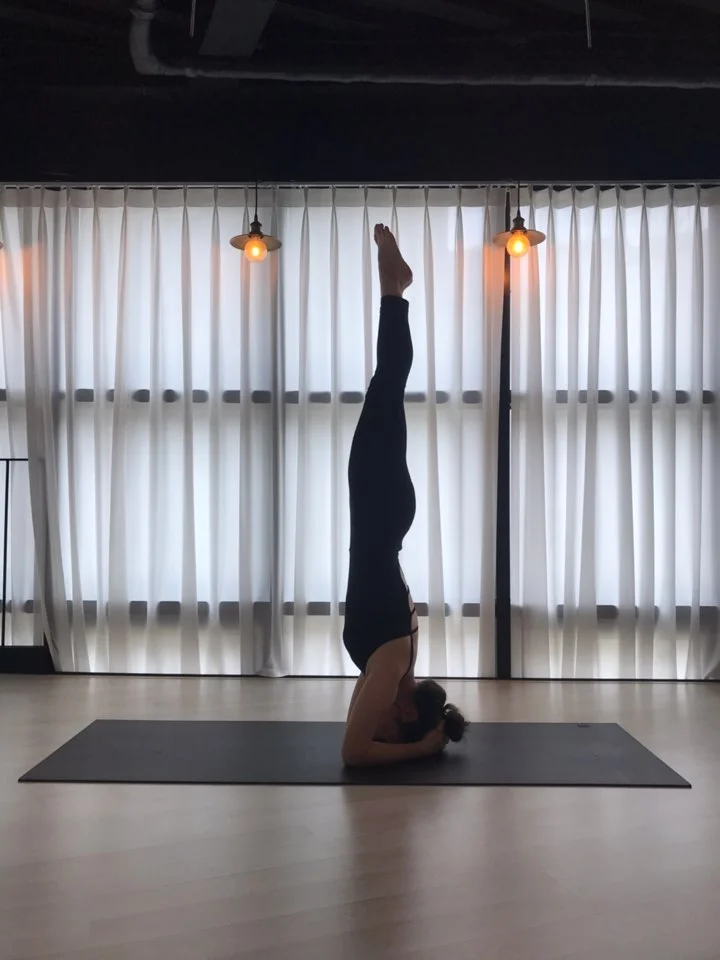 이미지 6