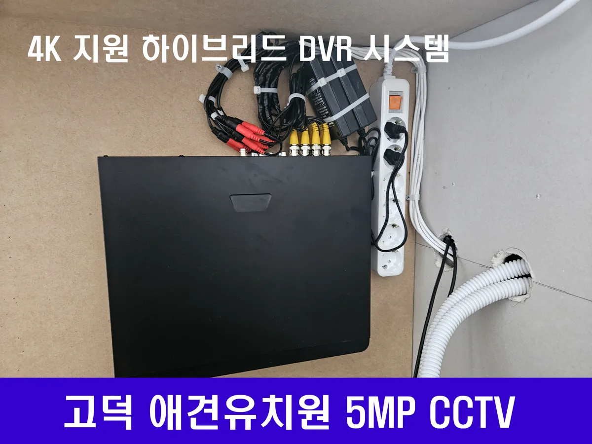 이미지 6