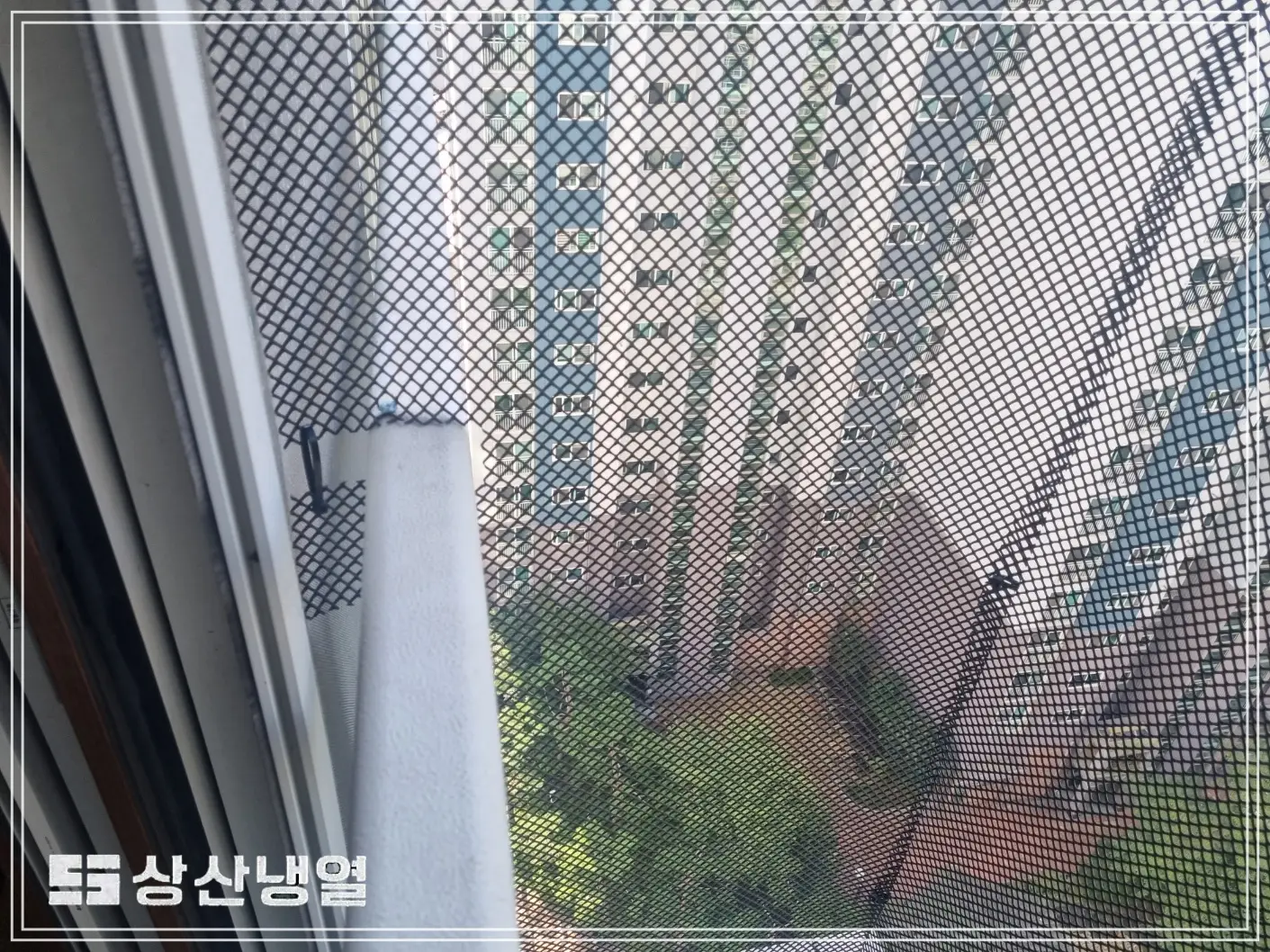 이미지 10