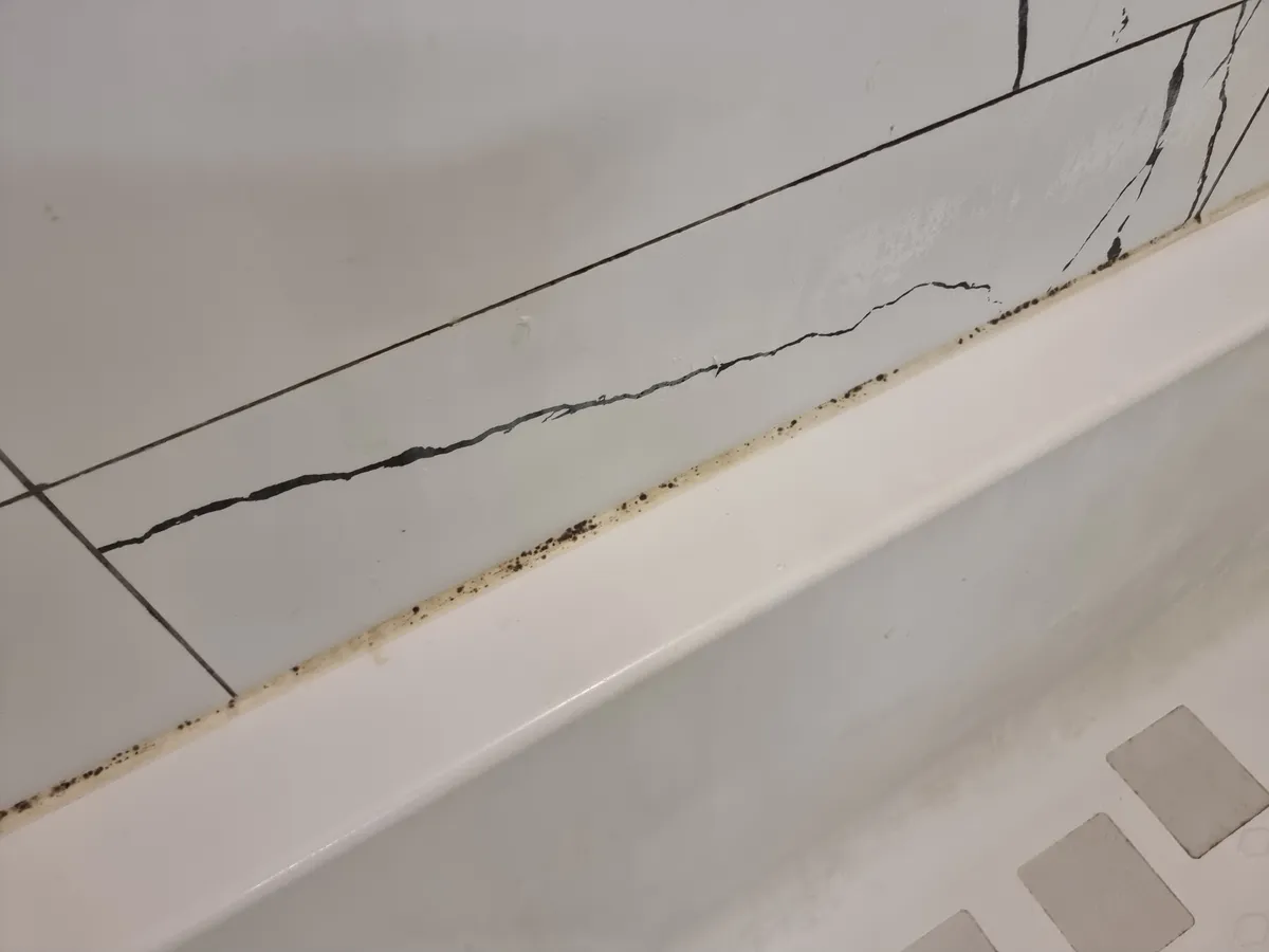 이미지 8