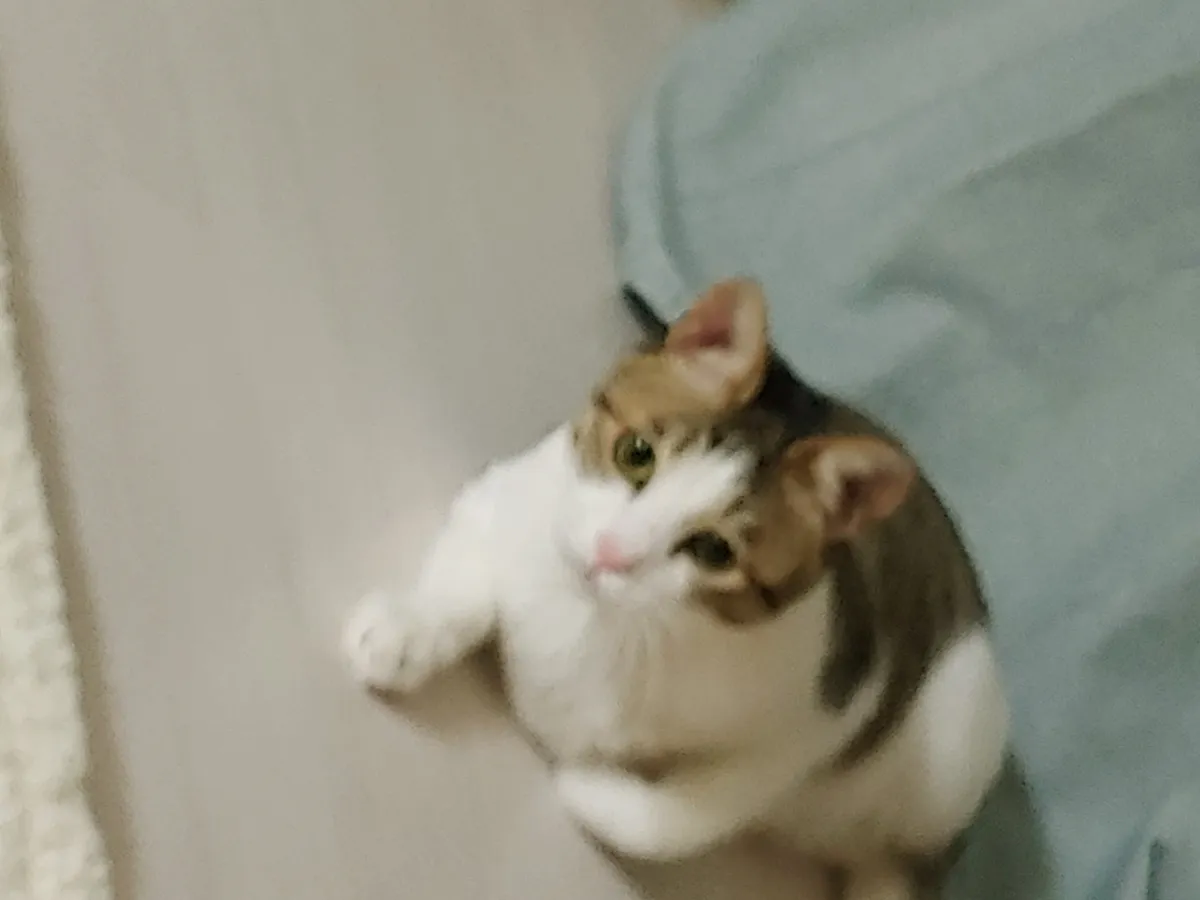 이미지 6