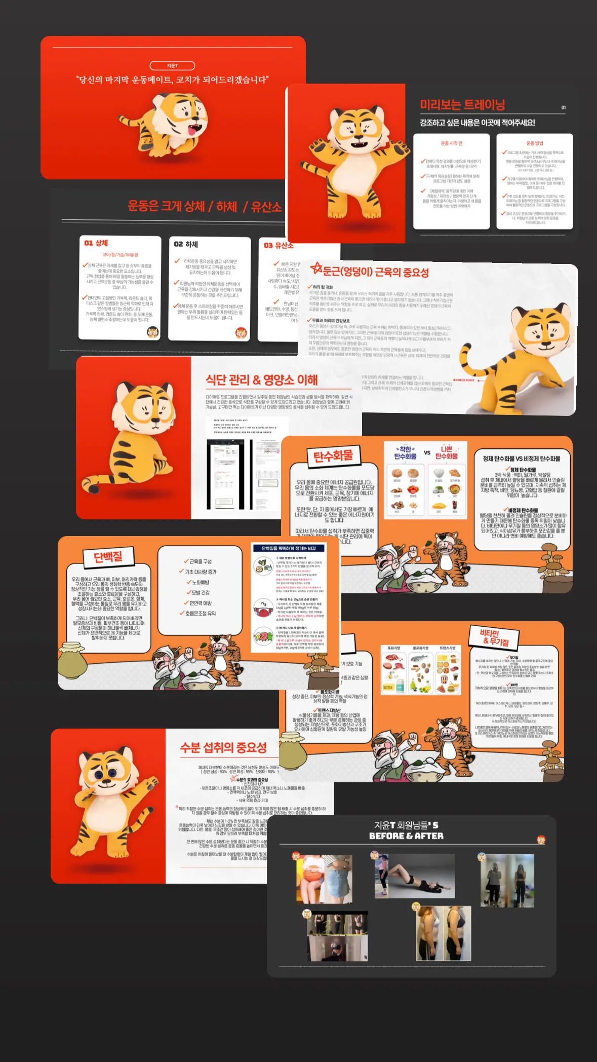 포트폴리오 이미지