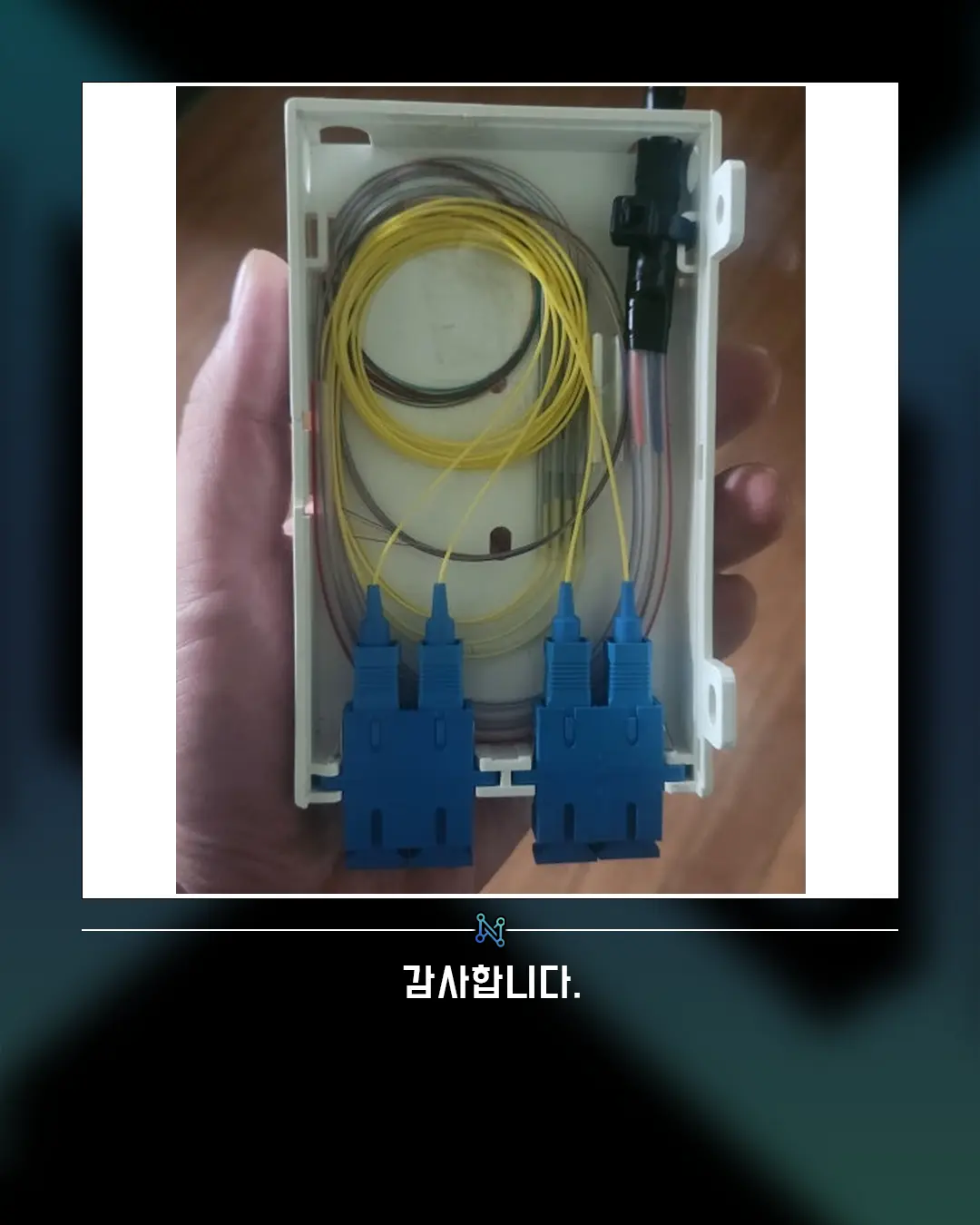 이미지 10