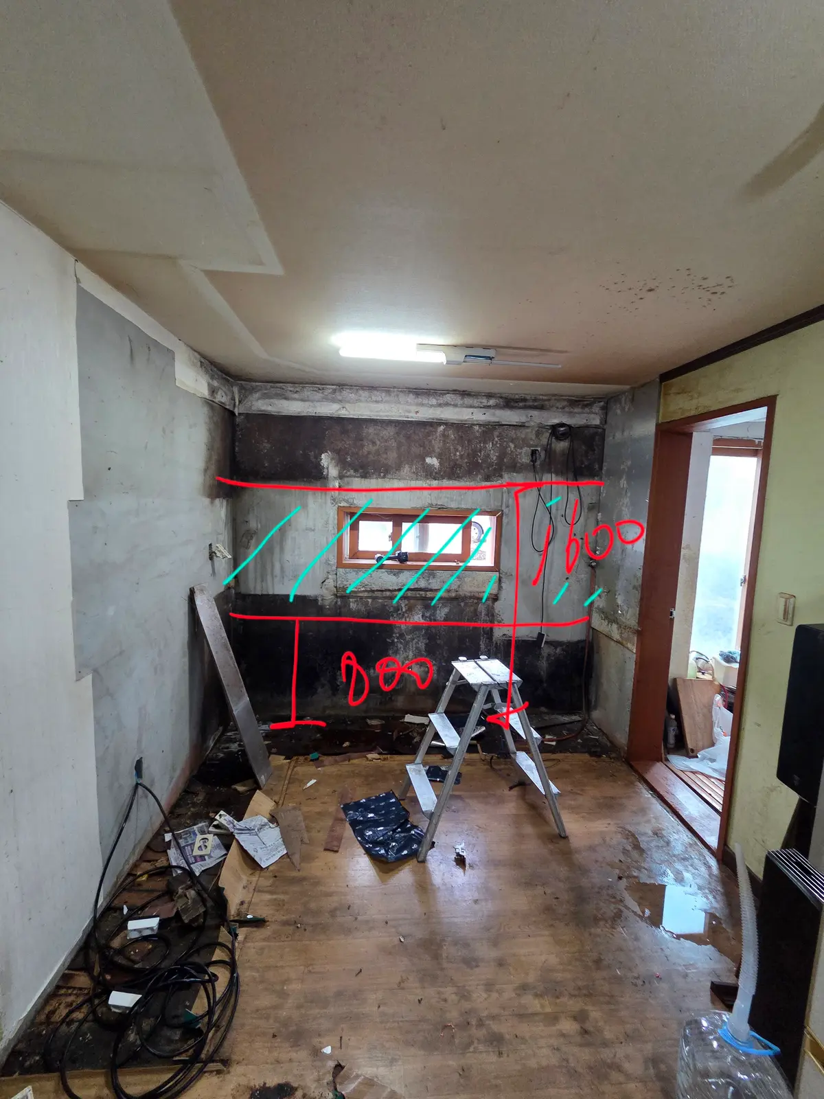 이미지 6