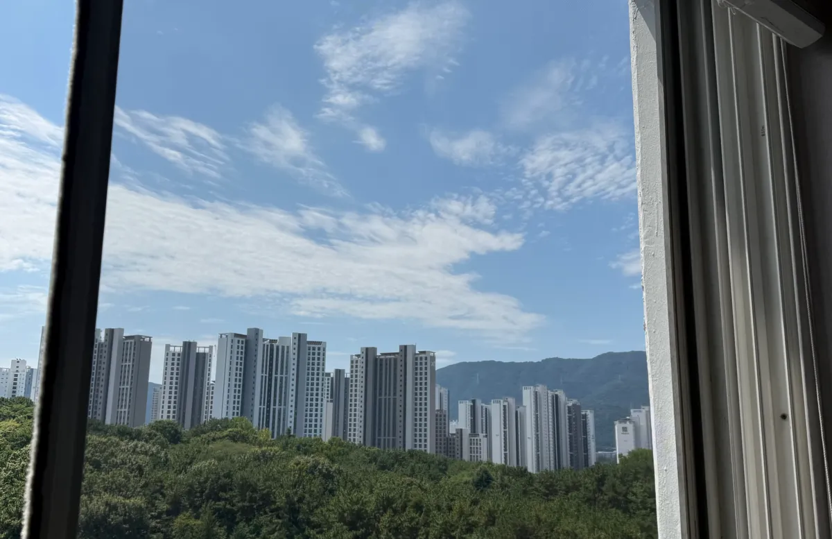이미지 14