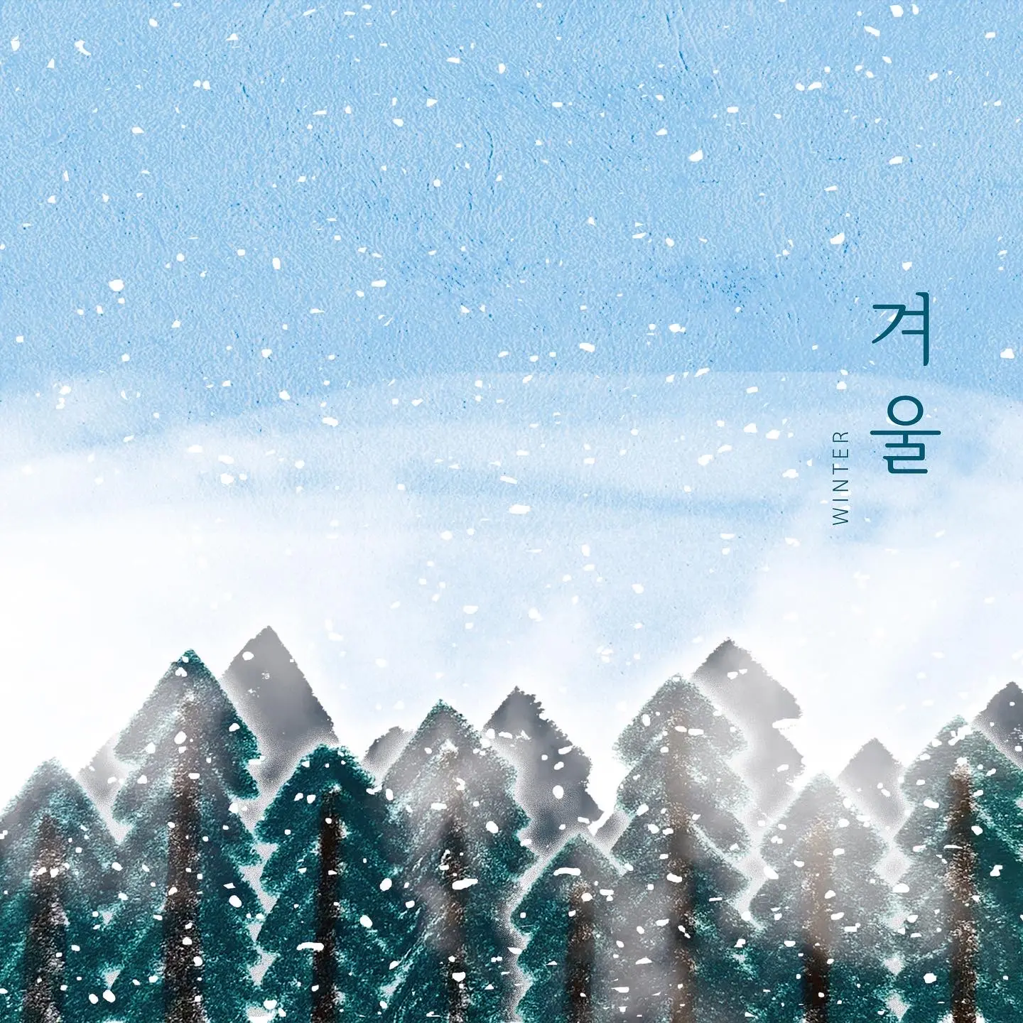 이미지 5