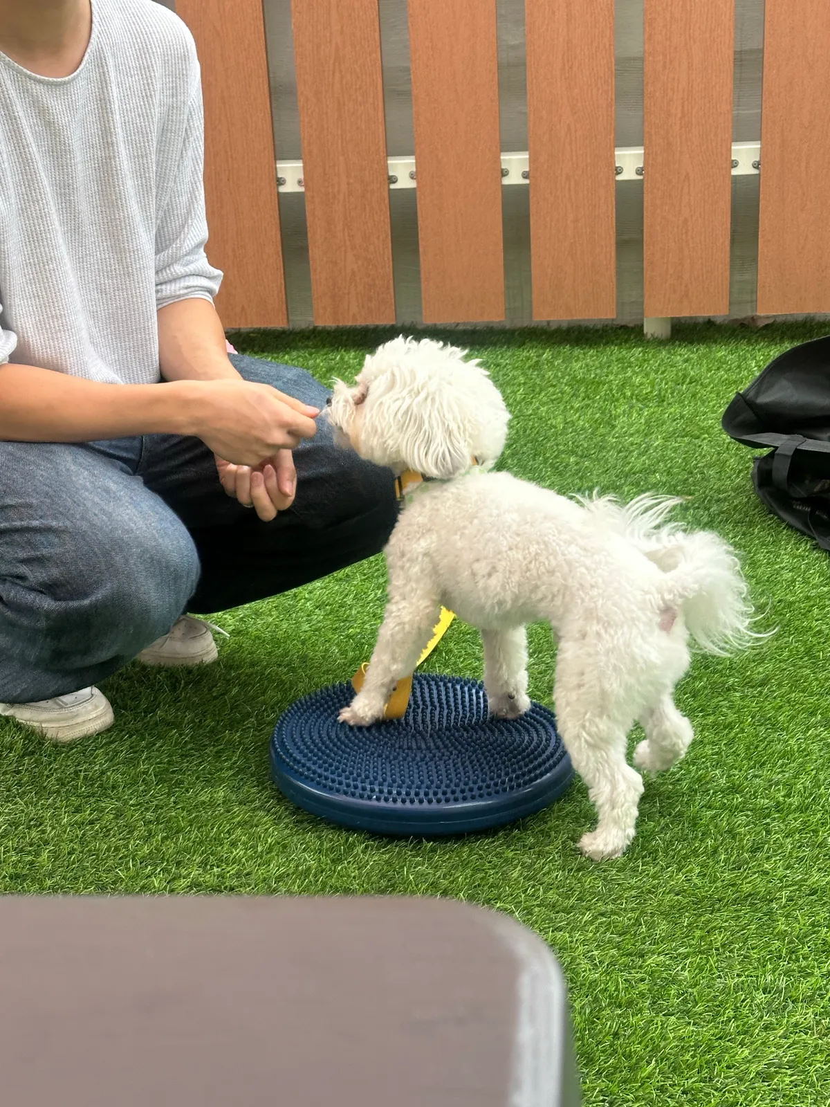 이미지 14