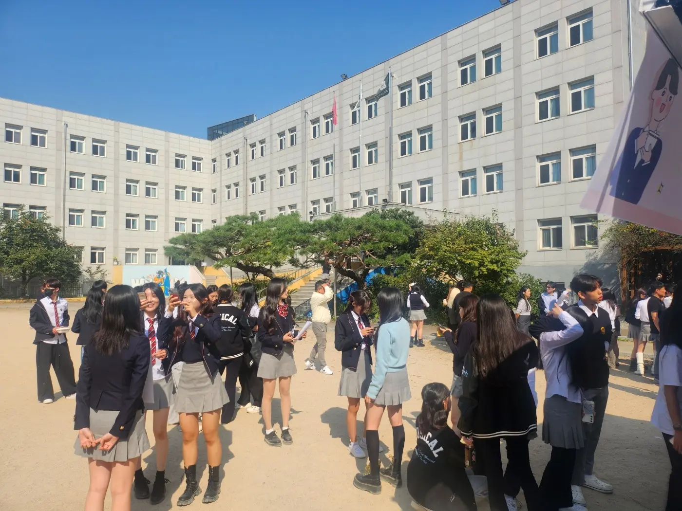 이미지 5