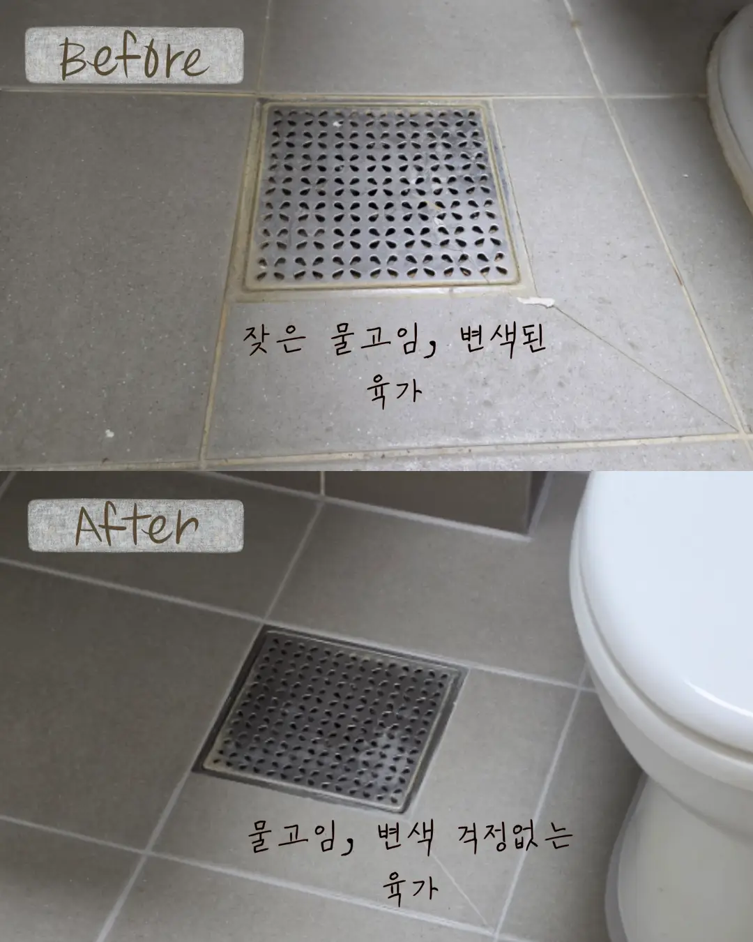 이미지 14