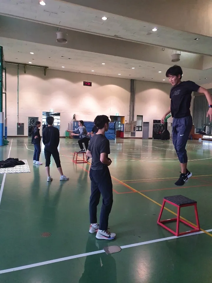 이미지 5