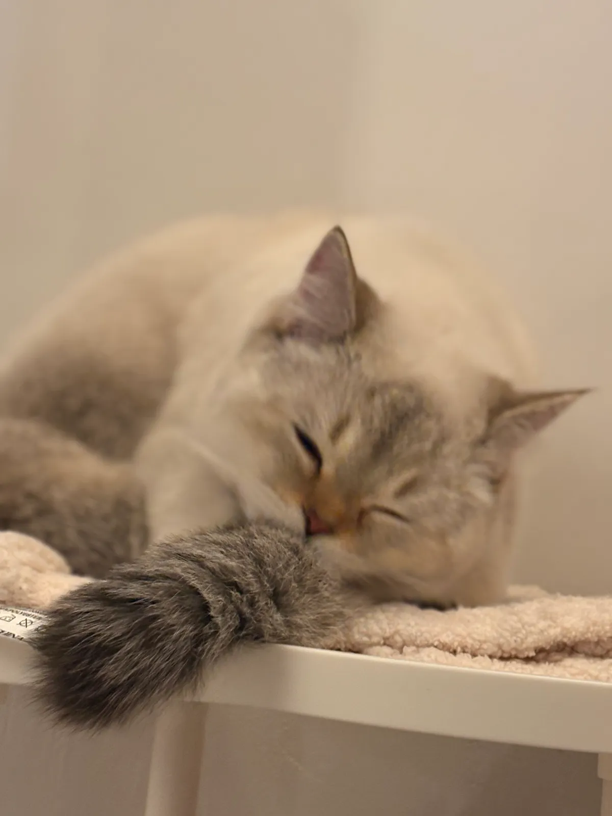 이미지 6