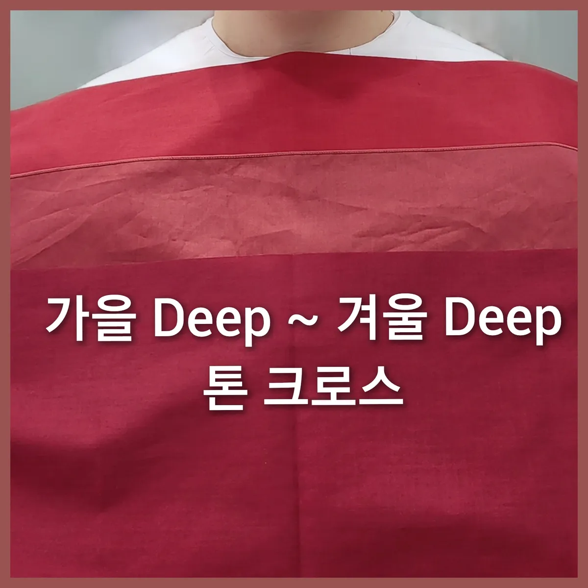 이미지 5