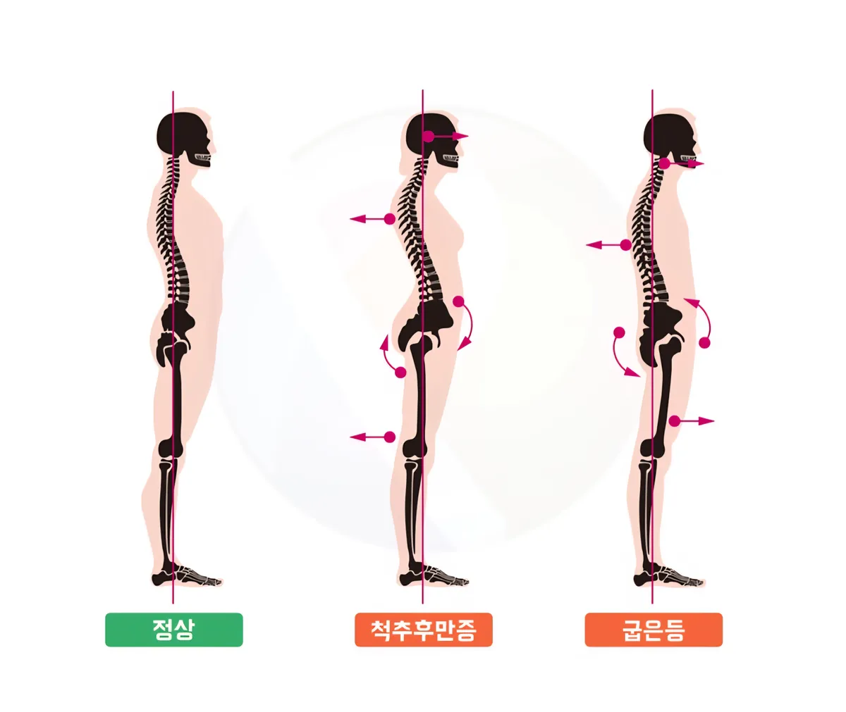 이미지 4