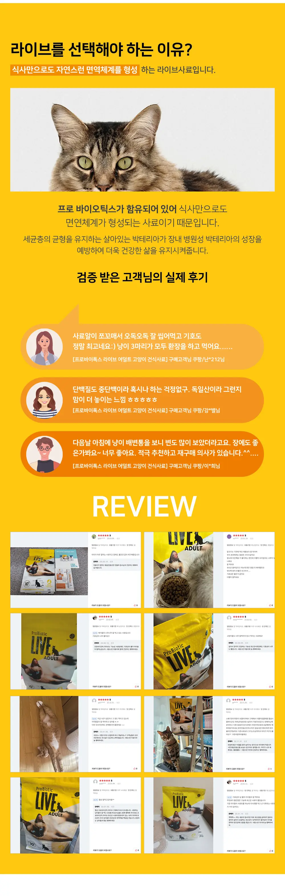 이미지 8