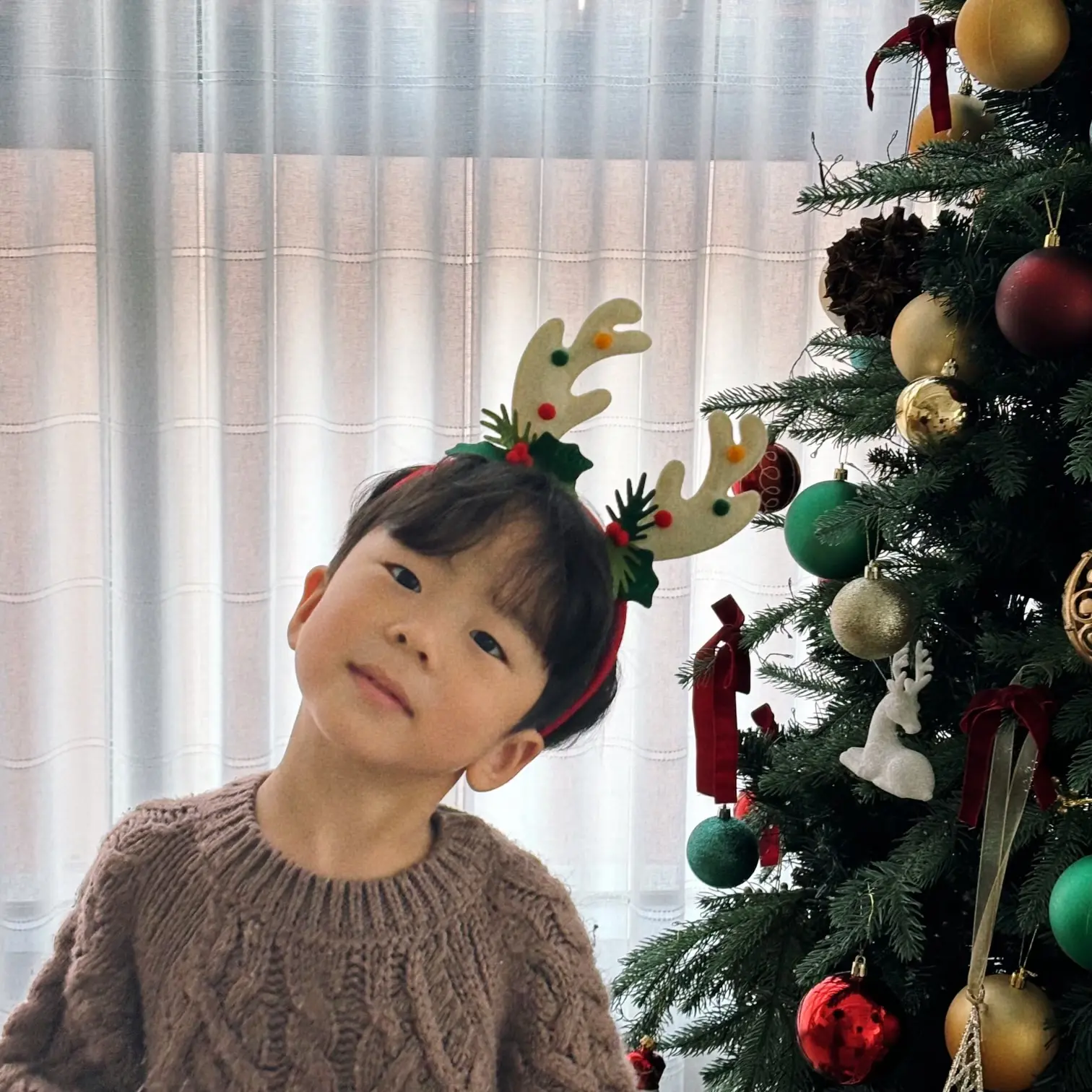 이미지 2