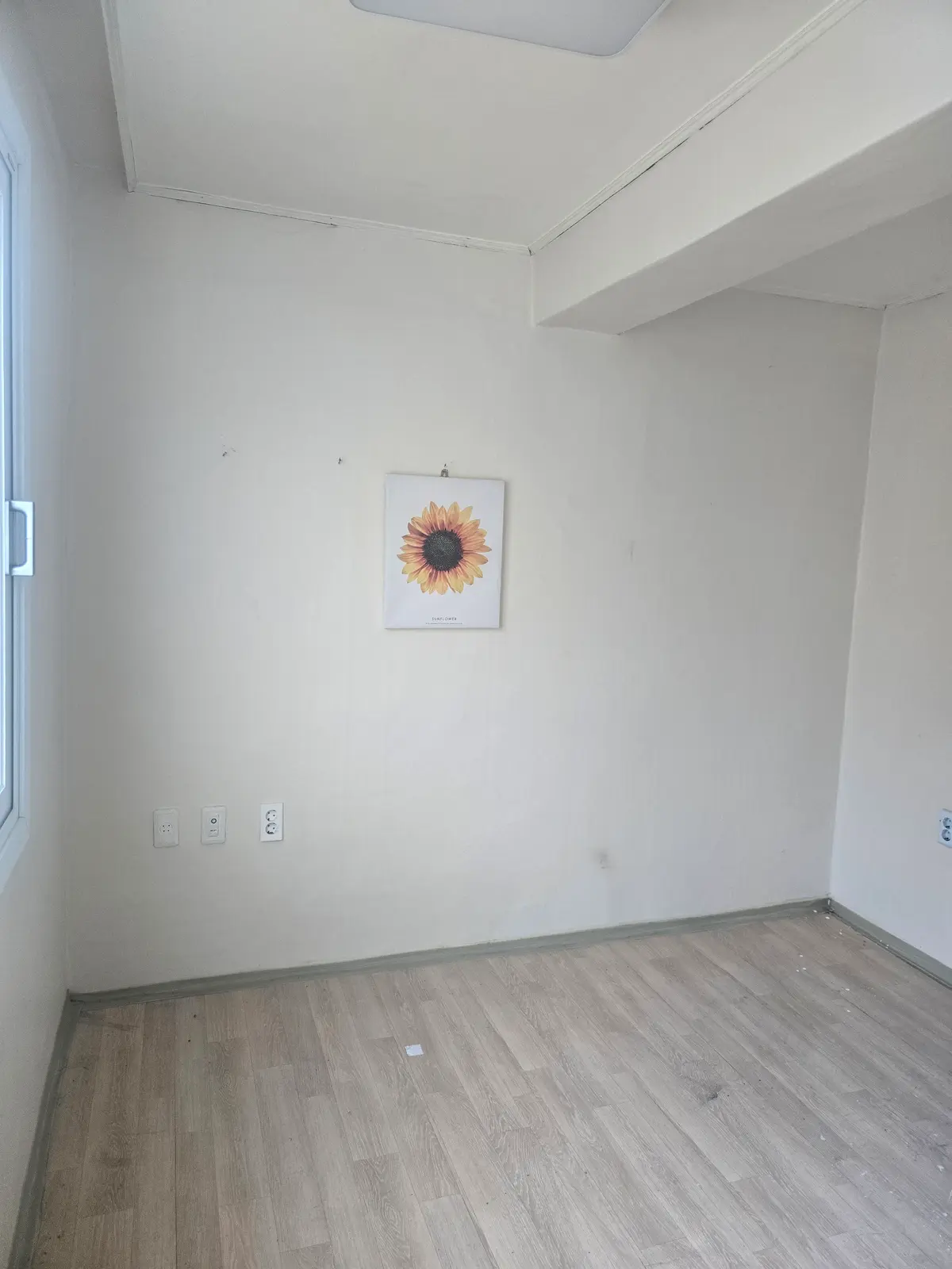 이미지 4