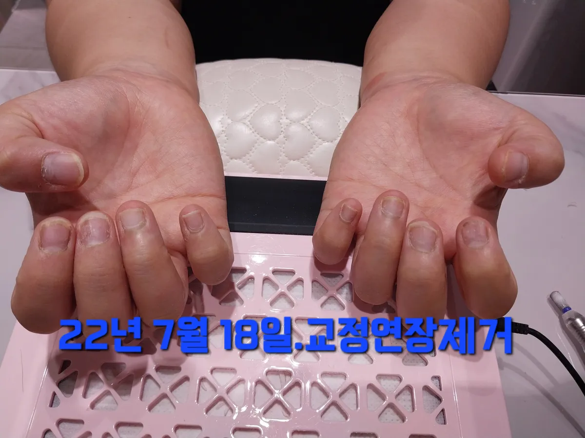 이미지 6