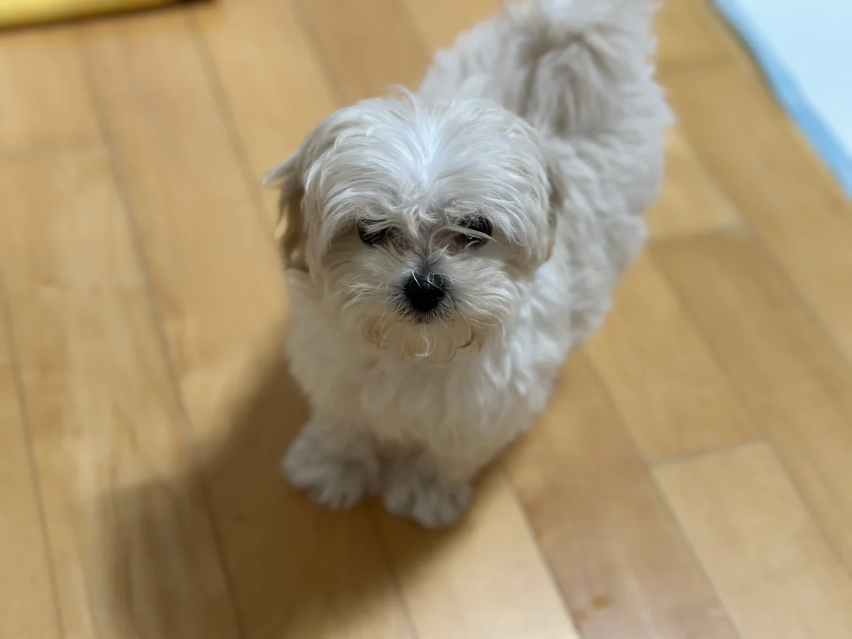 이미지 6