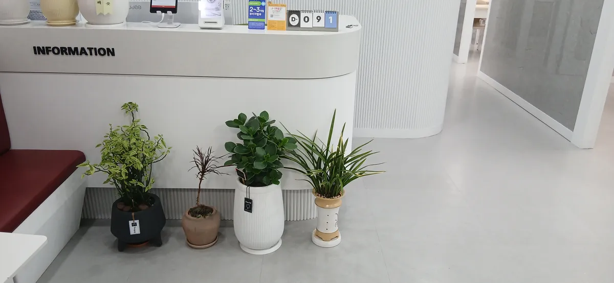 이미지 4