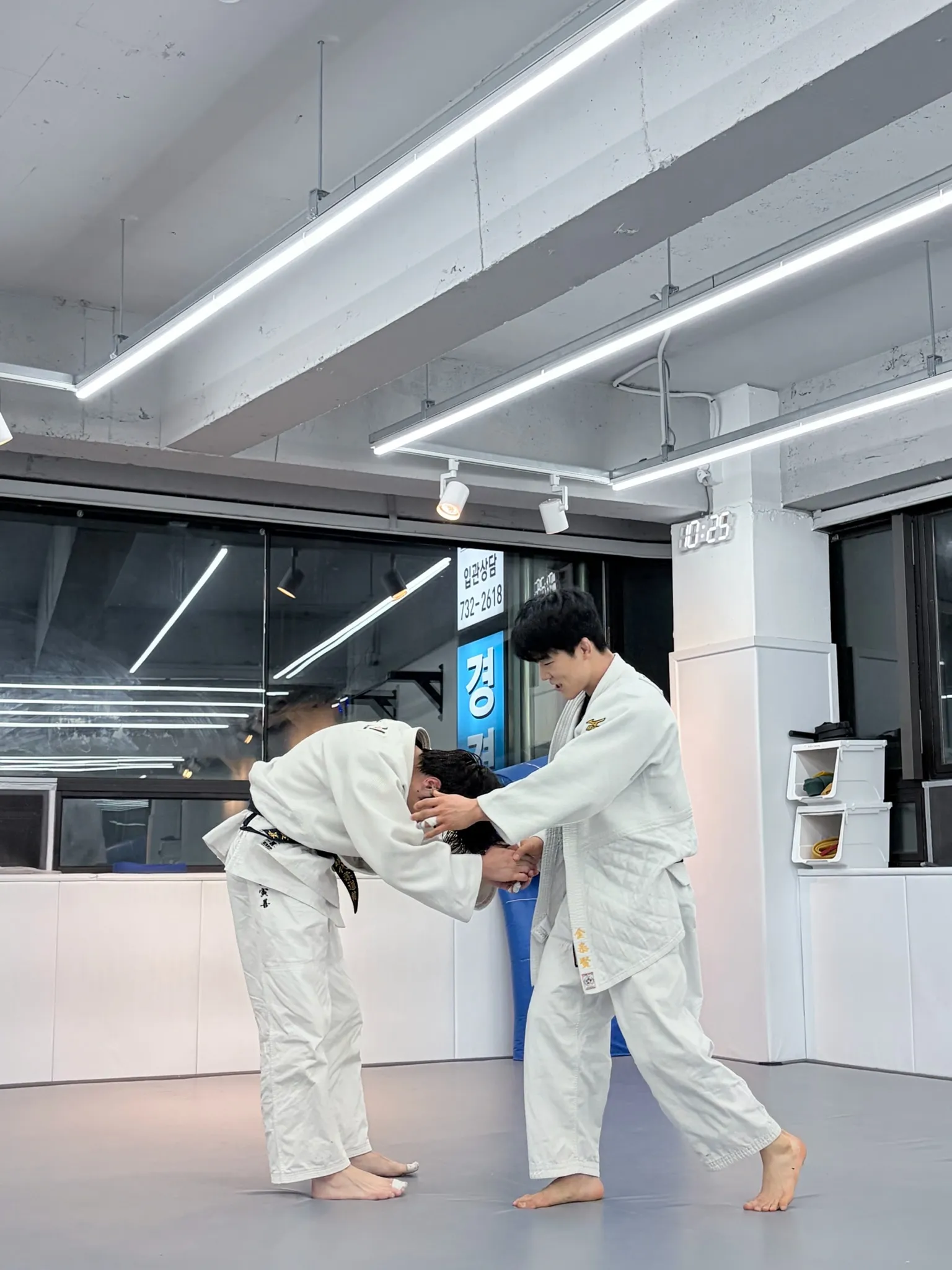 이미지 10